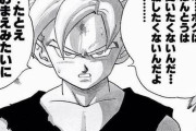 【疑問】ドラゴンボールの孫悟飯って、凄まじい高スペック男だよなｗｗｗ