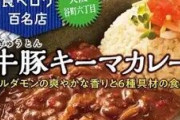 100～300円台で美味しいレトルトカレー教えて！