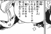 界王神様「フリーザ程度ならワンパン余裕」←これ