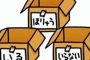 【片付け】捨ててもいいか聞くと誰かがスパッと答えを言ってくれるトピ