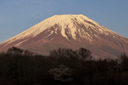 なぁもうそろそろ富士山噴火するみたいやけど何で何も対策せんのや？