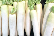 大根を一番美味しく食べる料理と言えば？