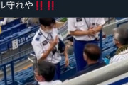 【画像】阪神ファン、また球場で迷惑行為
