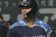 【悲報】日ハム中田翔 .197 4本 11打点