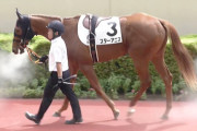 【競馬予想】第1回中京2歳ステークス(GⅢ) /2025