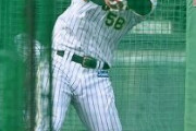阪神Ｄ４位・前川右京、フリー打撃で「安打性０」←これmmemmemme