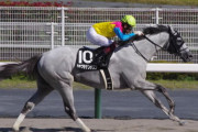 【競馬予想】第26回 シリウスステークス(GⅢ) /2022