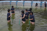 【画像】これが・・・女子校のプール掃除ｗｗｗｗｗｗｗｗｗ