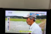 【悲報】撮り鉄さん、勝手に田んぼに水を張ってしまう