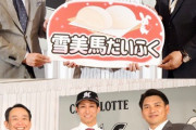 各球団が直近で獲得したFA選手一覧、中々興味深い