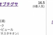 チグちゃん3.0でまたちょっと幼くなってないか！？『動きがめちゃくちゃ気合入っとる』