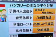 ハンガリーの少子化対策が凄すぎると話題に