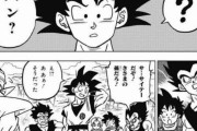 【悲報】孫悟空さん、いよいよ孫の存在を忘れてしまう【ドラゴンボール】