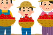 いちご狩り来たでー
