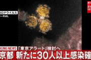 【速報】「東京アラート」検討