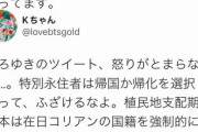 【悲報】論破王ひろゆき「日本にいるなら帰化するか韓国に帰って」特別永住者「帰化なんて絶対しないからな！」