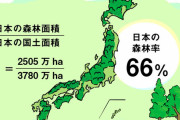 【衝撃】日本列島、ほとんど森だったｗｗｗｗｗｗｗｗｗｗｗｗｗｗｗｗｗｗｗｗｗｗｗｗｗ