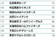 プロ野球12球団ファン、サービス満足度が発表！上から下まで割と予想通り
