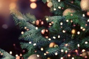 クリスマスに予定があるふり、2割が「経験あり」　会社員の5割が「クリスマスが楽しみ」と回答