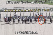 【阪神6R】今村聖奈落馬w