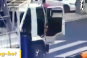 【動画】トラックの運転手と猫が衝撃的な体験を乗り切るｗｗｗｗｗ