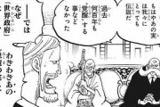 ワンピース「実はゴムゴムの実は悪魔の実を超えた悪魔の実でした」←なんだよこのクソ展開