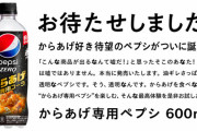 【画像】ペプシコーラ社、「こういうのでいいんだよ」な新商品を発売