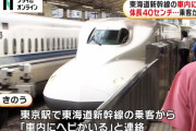 【🐍】 東海道新幹線の車内に体長約40センチのヘビ　一部の列車に遅れ