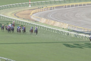 ●ジャパンカップでキセキが大逃げ