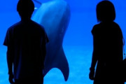 「水族館デート」←これ何が楽しいの？