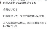 れいわ信者「分数の書き方が間違っているとの指摘があるが、学校教育は政府の洗脳だから信用できない」