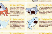 サメについて知ってること