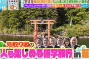【櫻坂46】こんなぎ・・・だよな？ Buddies、ラヴィットの予告映像に混乱。。。