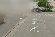 【画像】なんかグーグルマップのストリートビューで家が丸々ぼかしかけられた建物見つけた