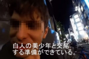 白人観光客「日本女は白人の美少年と交尾する準備ができている」