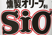 カップヌードル「しお」が20年で終売へ。今月末からは「ねぎ塩」を販売へ