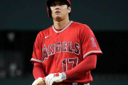大谷翔平　war10.0（投手4.0+野手6.0）