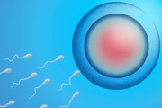 【精子の老化】高齢の父親ほど精子の遺伝子変異が多くなる　英国のチームの研究
