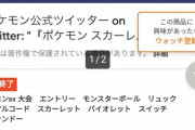 【ポケモンSV】永遠の謎「大会参加賞」ですら転売されまくってる。世の中おかしくなり過ぎでは