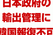 韓国政府パニック「日本の輸出管理強化に報復するのは不可能だ。広範囲の企業が損失を被る」　終わったな…