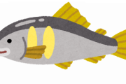 川魚で美味しい魚←ウナギと鮎だけだよな