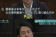 小泉進次郎って何も考えないで発言してるよねｗ