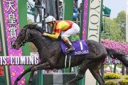 ジャスティンパレス今年で引退　アロースタッドで種牡馬入り
