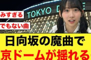 【東京ドームが揺れるぞ】日向坂46の魔曲盛り上がりがエグいと話題に