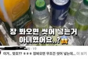 【爆笑】韓国人「こんなの初めて見たわｗｗｗ ある意味センスありすぎて草」