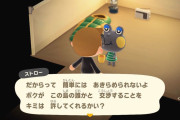 【あつまれどうぶつの森】アミーボさえあれば簡単に住民呼び出せると思ったのに、意外と手間がかかるな…