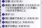 国連「日本の皇室典範は女性差別では？」日本政府「シャラップ！」