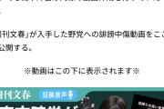誰も見たことない動画を大量に作った無能　〜　【速報】誹謗中傷動画、批評動画だった　あと与野党２０人の動画作ってた