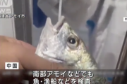 【悲報】中国父さん、魚にPCR検査をしてしまう