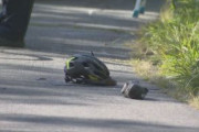 「ツール・ド・北海道（Le Tour de Hokkaidou）」一般車と衝突した20代選手が死亡